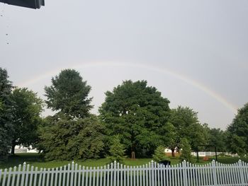 Trees and plants against rainbow in sky