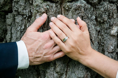 Close-up of couple holding hands by tree trunk