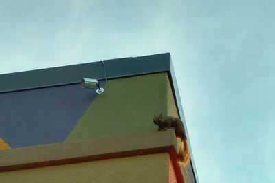 Low angle view of bird perching on roof against clear sky