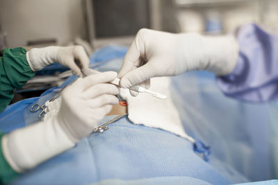 Nurse giving dental equipment to dentist during surgery in operating room