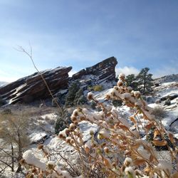 Scenic view of rocky mountains