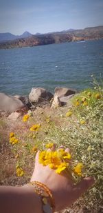 Scenic view of sea and yellow flowers on beach