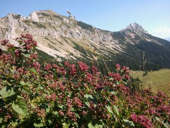 Scenic view of mountains against clear sky