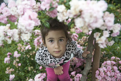 Portrait of cute girl by pink flowering plant