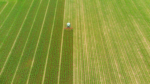 High angle view of agricultural field