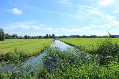 Scenic view of stream by grassy field against sky