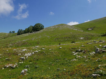 Beautiful rural landscape walking along the mount autore, in italy