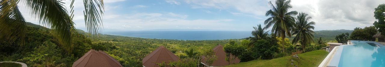 Panoramic view of land and trees against sky