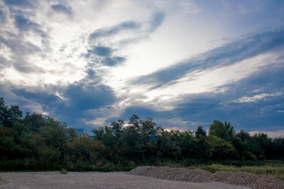 Trees on landscape against sky