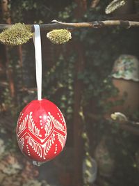 Close-up of red balloons on white background