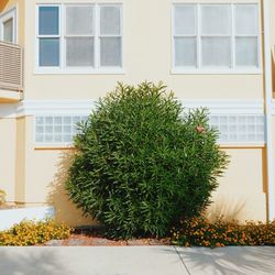 Residential building with trees in background