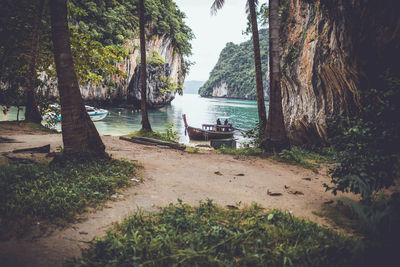 Scenic view of beach against trees