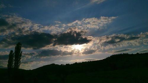 Low angle view of silhouette trees against sky