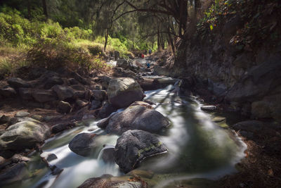 Stream flowing through rocks in forest