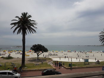 Palm trees on beach against sky