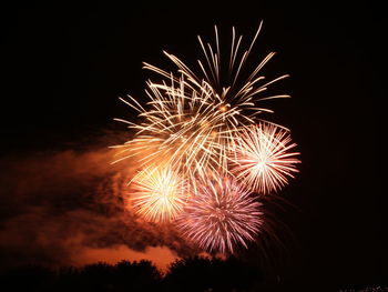 Low angle view of firework display at night