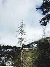 Scenic view of landscape against cloudy sky