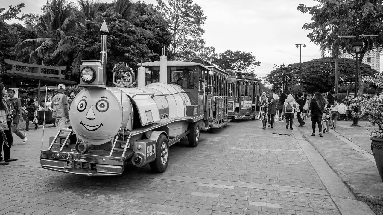 Train in a park