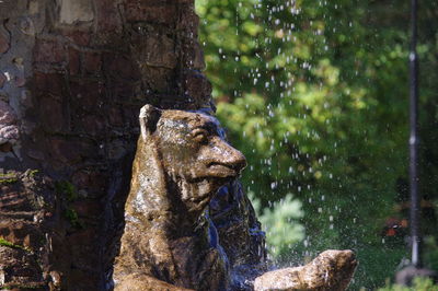 Close-up of a sculpture