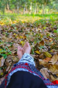 Low section of woman on leaves