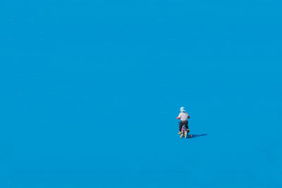Rear view of person standing in sea