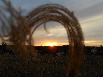 Scenic view of field against sky during sunset