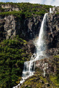 Scenic view of waterfall in forest