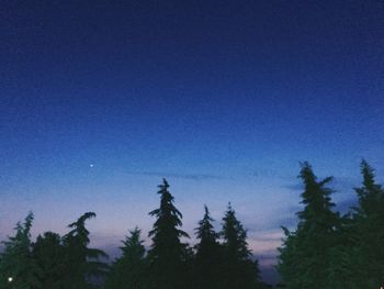 Low angle view of silhouette trees against blue sky