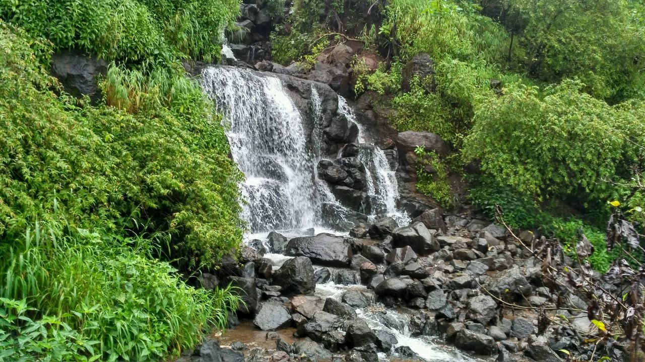 Tamhini ghat