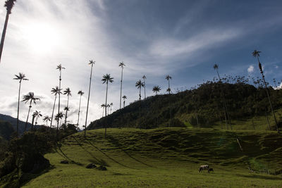 Scenic view of landscape against cloudy sky