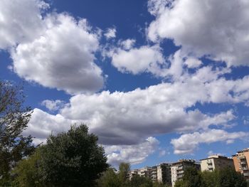 Low angle view of trees against sky