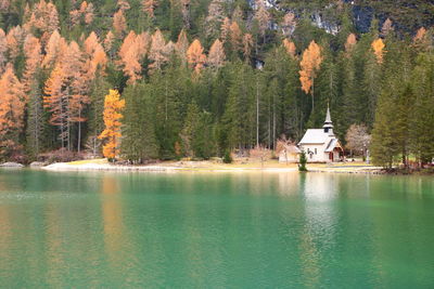 Scenic view of lake by trees in forest
