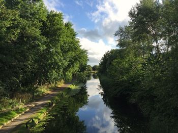 High angle view of river with trees reflection