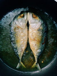 Close-up of preparing food