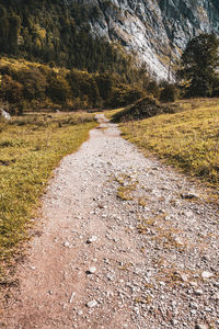 Road amidst trees