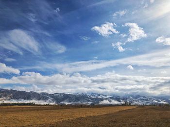 Scenic view of field against sky