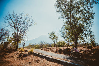 Road amidst trees on field against sky