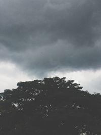 Low angle view of silhouette trees against storm clouds