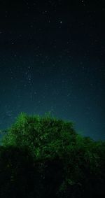 Low angle view of trees against sky at night