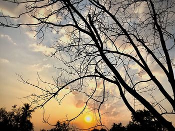 Low angle view of silhouette bare tree against sky