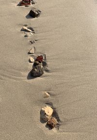 High angle view of crab on beach