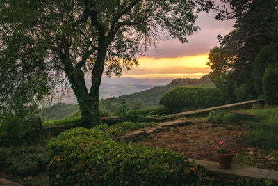 Scenic view of landscape against sky during sunset