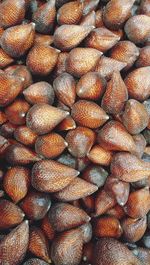 Full frame shot of snake fruit as salak