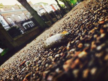 Surface level of white surface