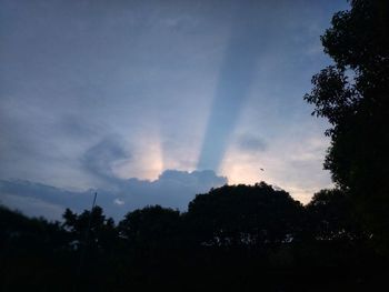 Low angle view of silhouette trees against sky