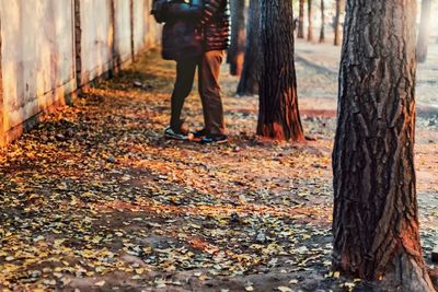 Low section of man with autumn leaves on tree