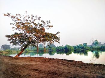 Scenic view of lake against clear sky