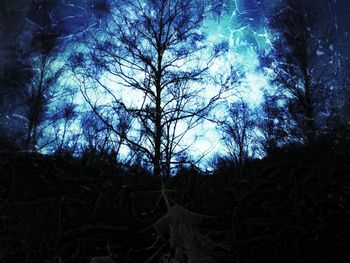 Low angle view of bare trees against sky