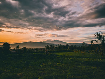 Scenic view of field against sky during sunset