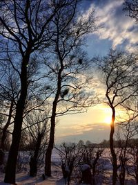 Silhouette bare trees against sky during sunset